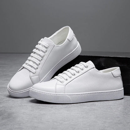 Harrington Low-Tops
